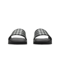 Slides Monochromatic