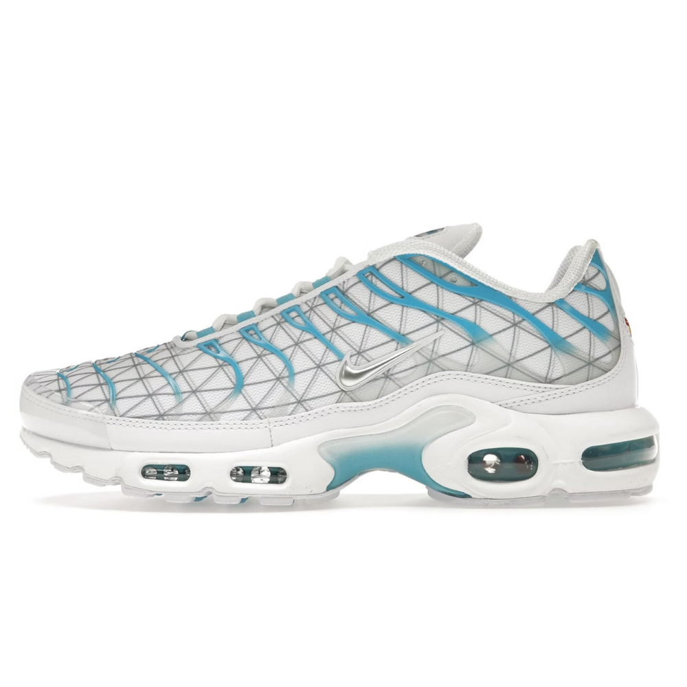 TN White Blue