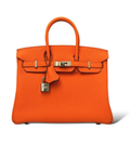 Birkin Bag