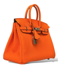 Birkin Bag